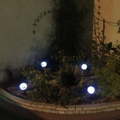 Bulbo Luz Solar para decoración de jardín